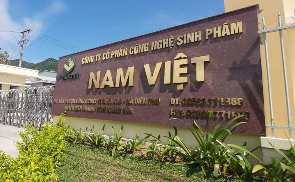 Nam Việt (ANV)