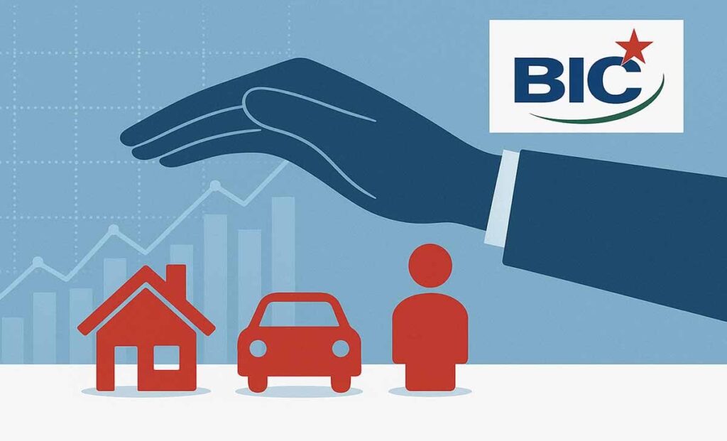 Cổ phiếu BIC: Thông tin, Đặc điểm, Tiềm năng và Cách đầu tư 2 Cổ phiếu BIC