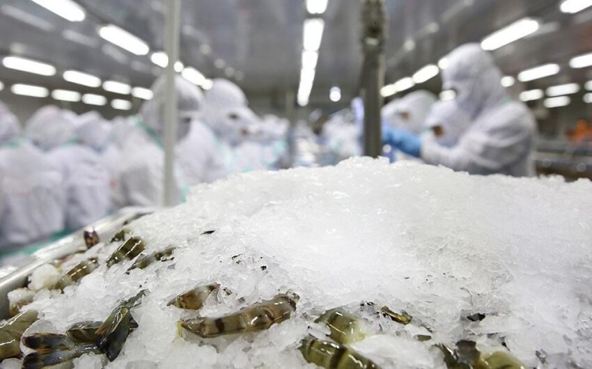 Cổ phiếu CCA: Thông tin doanh nghiệp, Đặc điểm tài chính, Tiềm năng đầu tư và Cách giao dịch hiệu quả 2 Cổ phiếu CCA