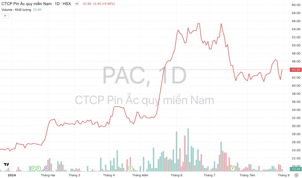 Cổ phiếu PAC: Thông tin doanh nghiệp, Đặc điểm mã, Tiềm năng tăng trưởng và Chiến lược đầu tư 1 Cổ phiếu PAC
