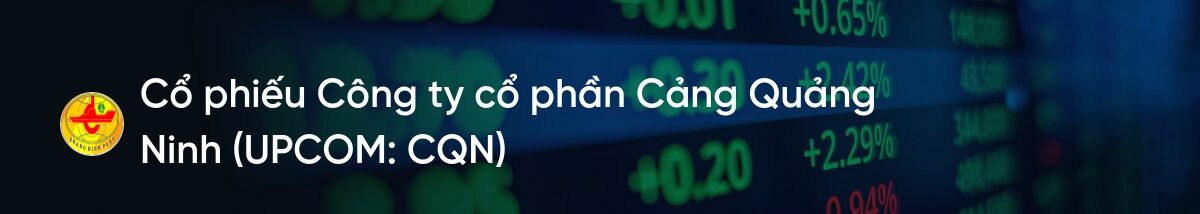 Cổ phiếu CQN