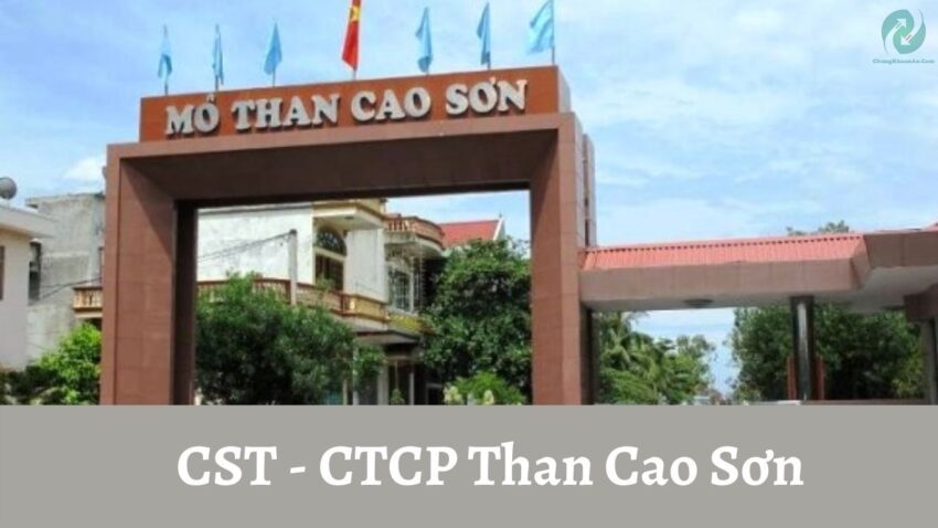Cổ phiếu CST