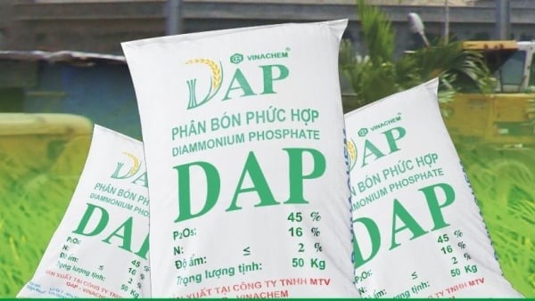 Cổ phiếu DDV