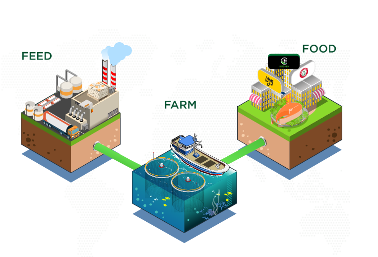 Mô hình 3F (Feed-Farm-Food)