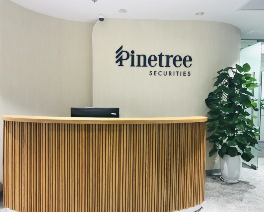 Pinetree e1772007855480