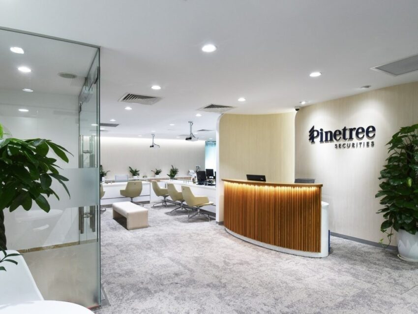 Pinetree1 e1772007842902