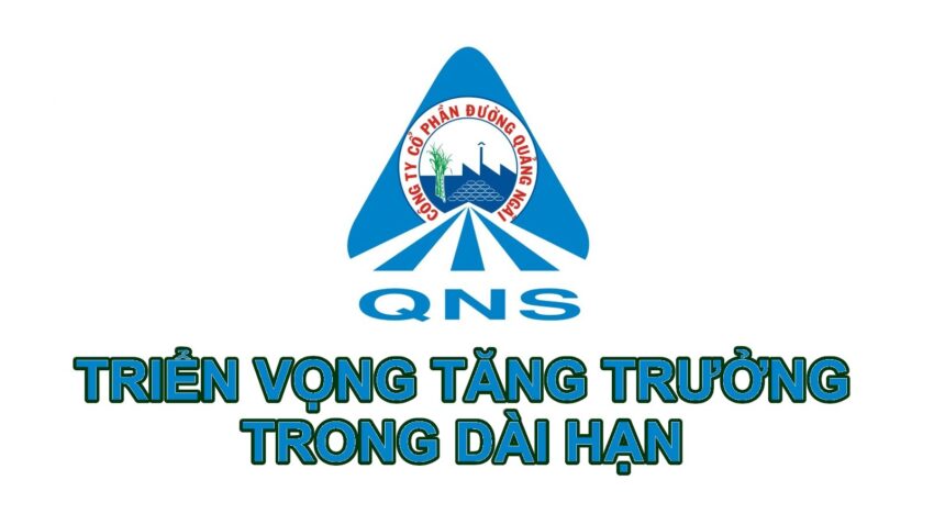 Cổ phiếu QNS