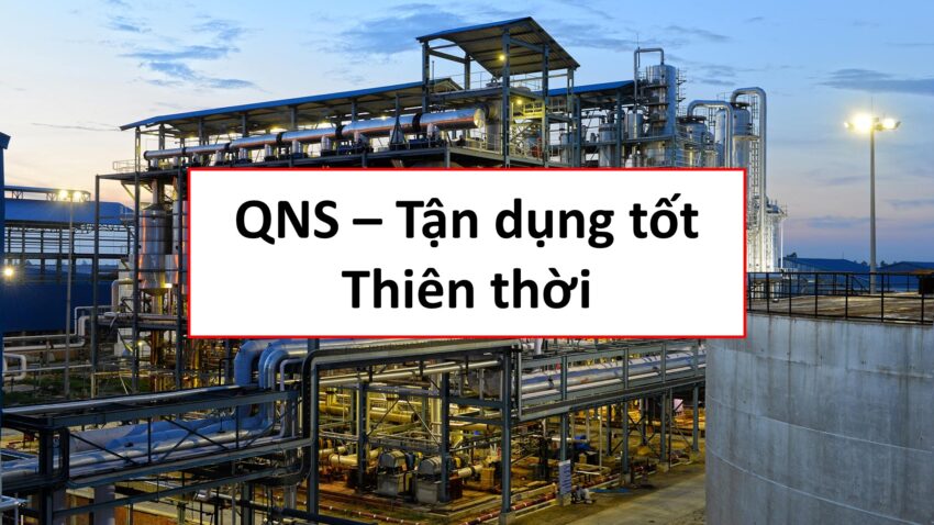 Cổ phiếu QNS