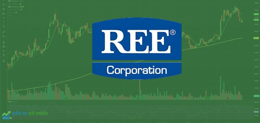 Cổ phiếu REE