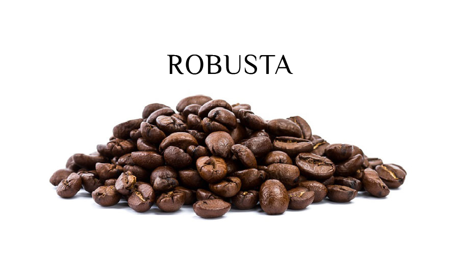 ca phe Robusta