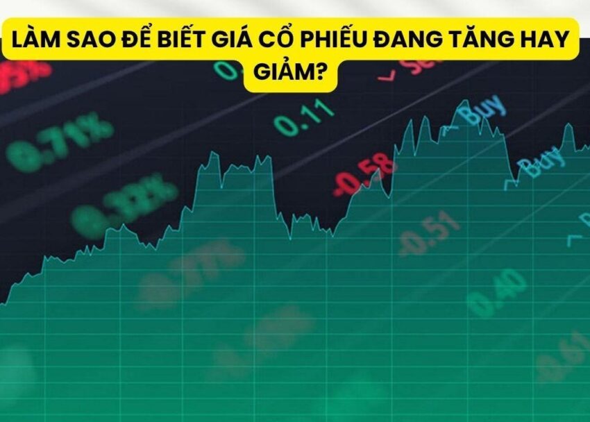 Cách xem cổ phiếu tăng hay giảm