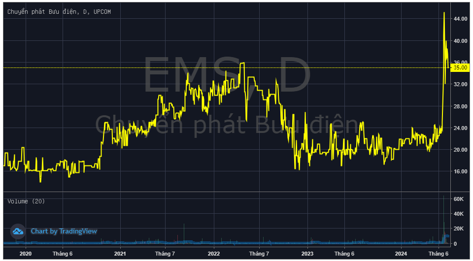 Cổ phiếu EMS