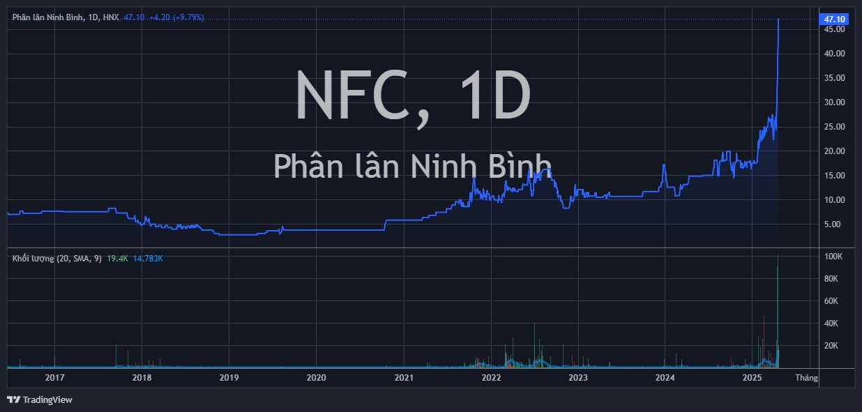 Cổ phiếu NFC: Thông tin, Chỉ số tài chính, Đánh giá đầu tư và Tiềm năng tăng trưởng 1 Cổ phiếu NFC