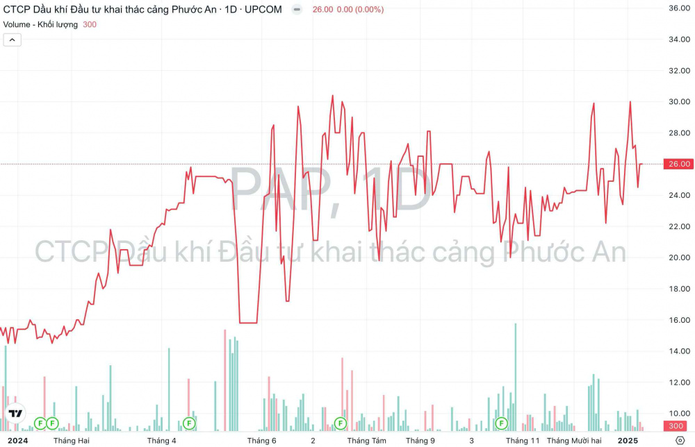 Cổ phiếu PAP: Thông tin, Đặc điểm, Tiềm năng và Chiến lược đầu tư 131 Cổ phiếu PAP