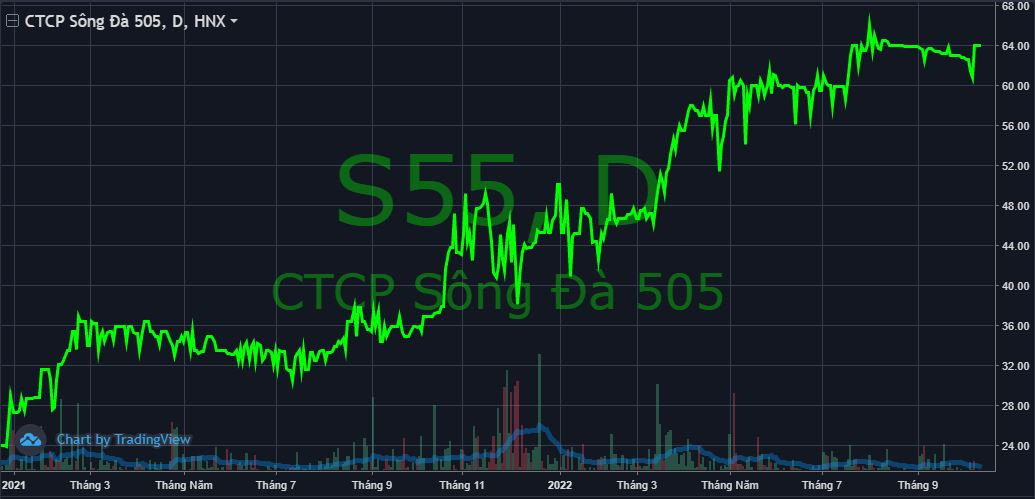 Cổ phiếu S55