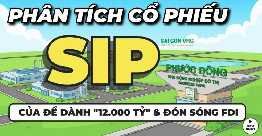 Cổ phiếu SIP: Thông tin, Đặc điểm, Tiềm năng và Lưu ý đầu tư 2 Cổ phiếu SIP