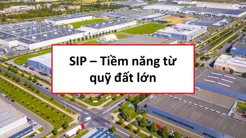 Cổ phiếu SIP: Thông tin, Đặc điểm, Tiềm năng và Lưu ý đầu tư 3 Cổ phiếu SIP