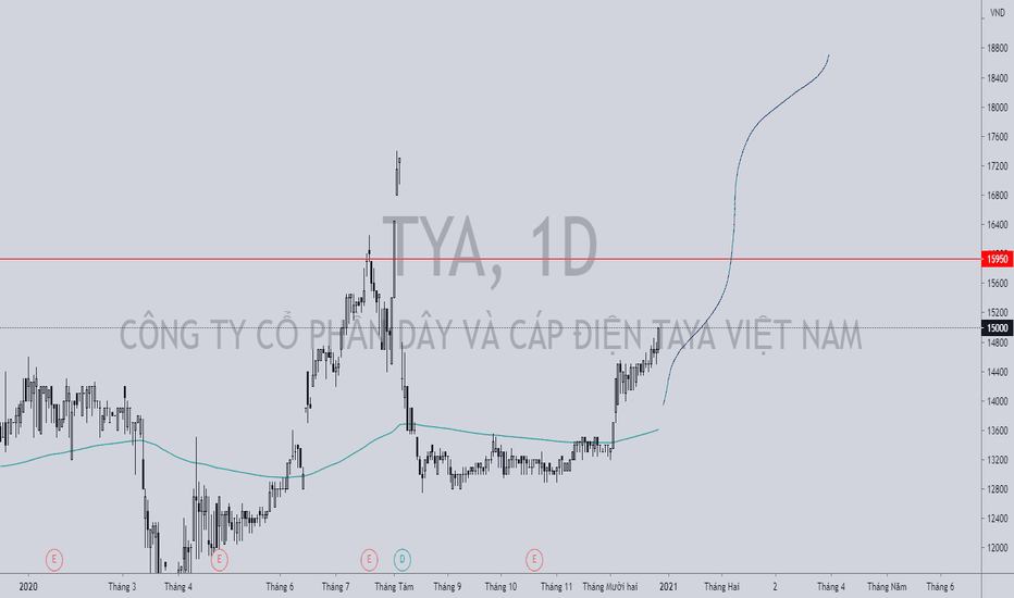 Cổ phiếu TYA: Thông tin niêm yết, Chỉ số tài chính, Tiềm năng tăng trưởng và Chiến lược đầu tư 1 Cổ phiếu TYA