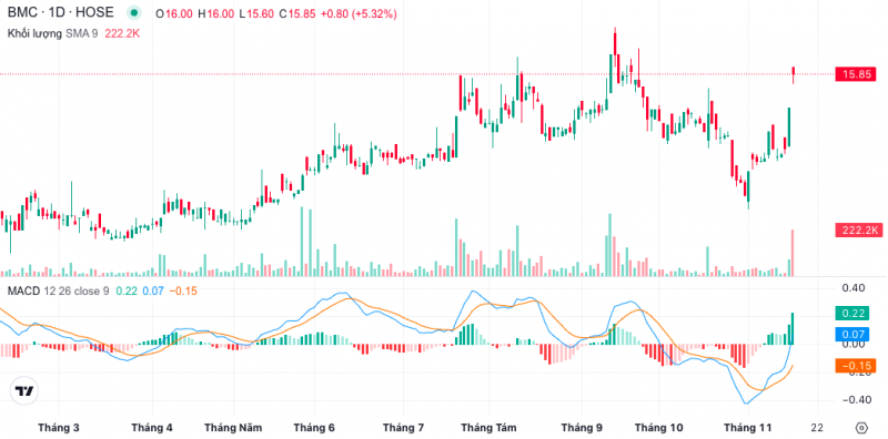 Cổ phiếu SQC: Thông tin doanh nghiệp, Lịch sử biến động giá, Chỉ số tài chính và Chiến lược đầu tư 5 Cổ phiếu BMC