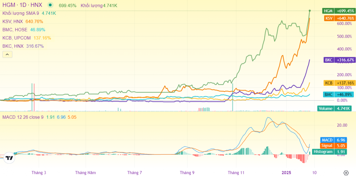 Cổ phiếu HGM