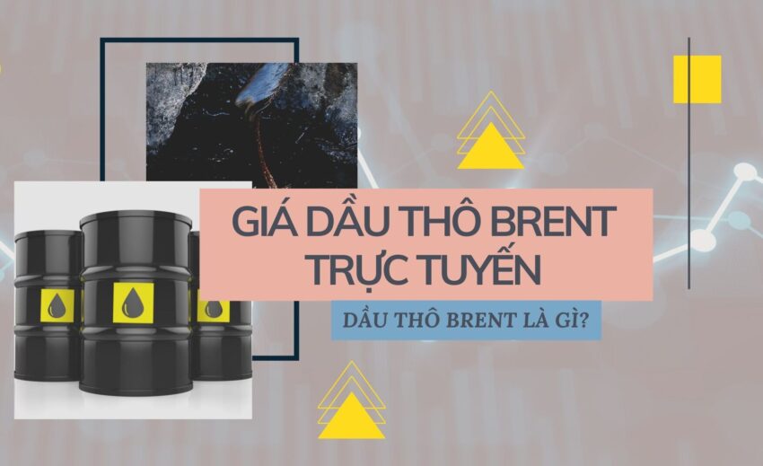 Biểu đồ giá dầu thô thế giới