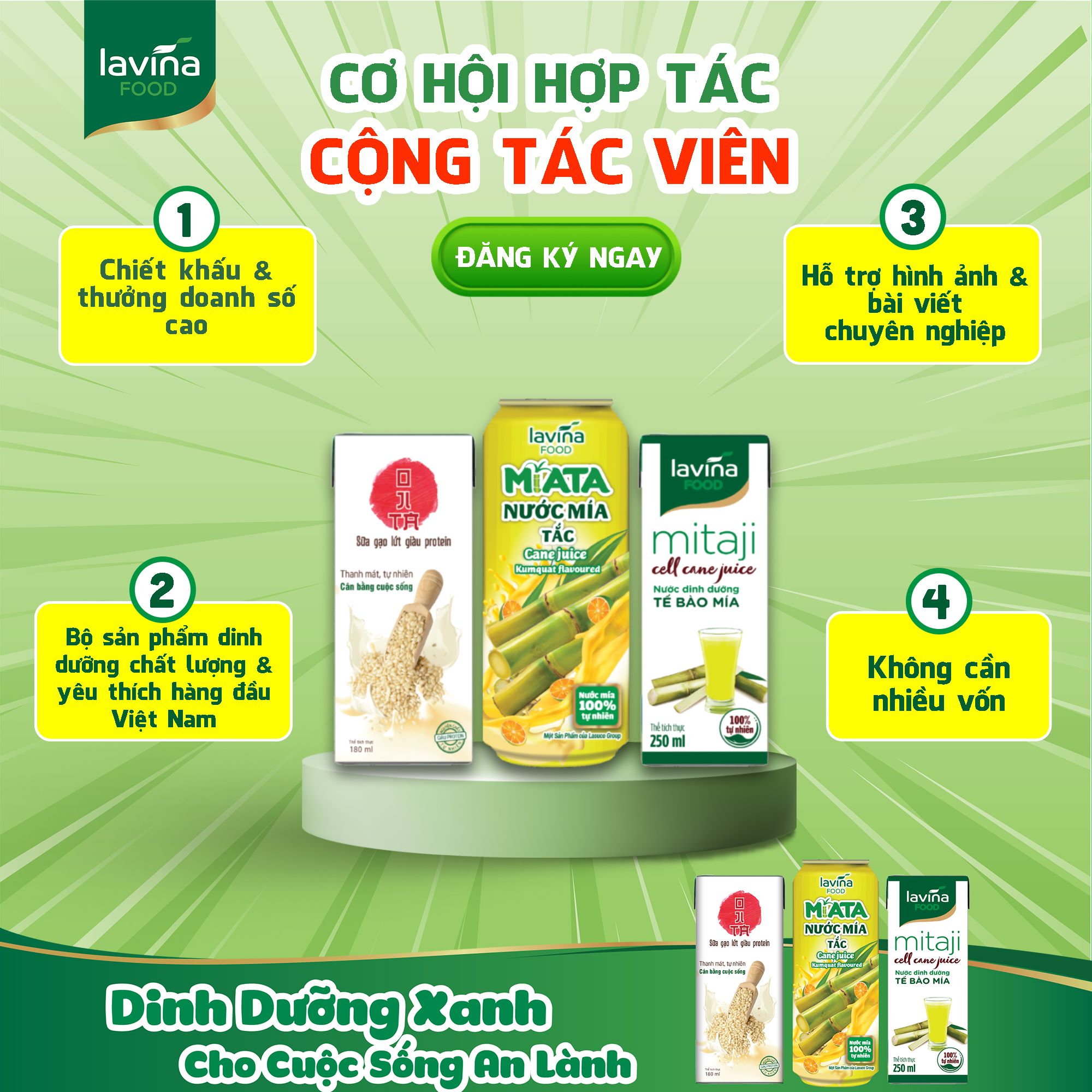 Cổ phiếu LSS: Thông tin, Đặc điểm, Tiềm năng và Cách đầu tư 7 ngành hàng Lavina