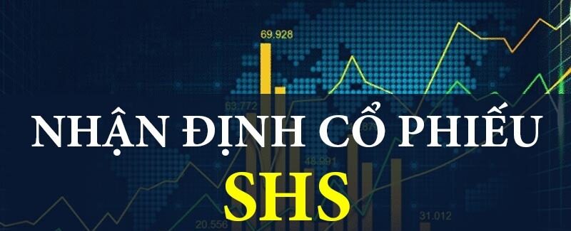 Cổ phiếu SHS: Thông tin doanh nghiệp, Chỉ số tài chính, Danh mục tự doanh và Chiến lược đầu tư 4 Cổ phiếu SHS