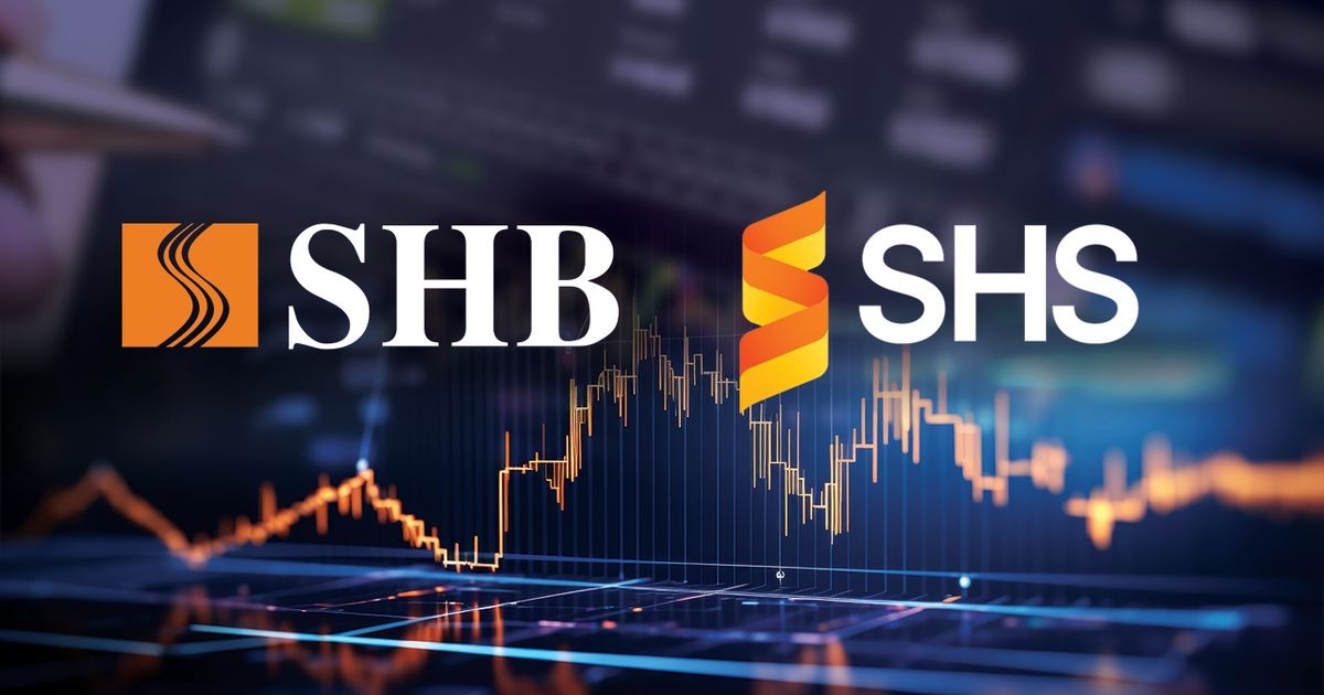 Cổ phiếu SHS: Thông tin doanh nghiệp, Chỉ số tài chính, Danh mục tự doanh và Chiến lược đầu tư 3 Cổ phiếu SHS