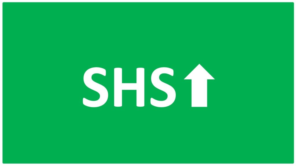 Cổ phiếu SHS: Thông tin doanh nghiệp, Chỉ số tài chính, Danh mục tự doanh và Chiến lược đầu tư 5 Cổ phiếu SHS