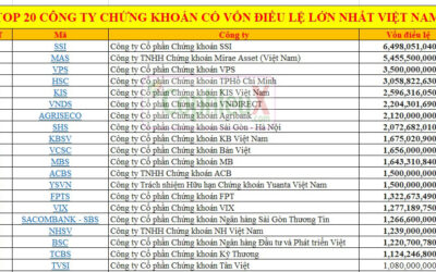 Top 20 công ty chứng khoán Việt Nam: Thông tin, Đặc điểm, Công dụng và Cách lựa chọn
