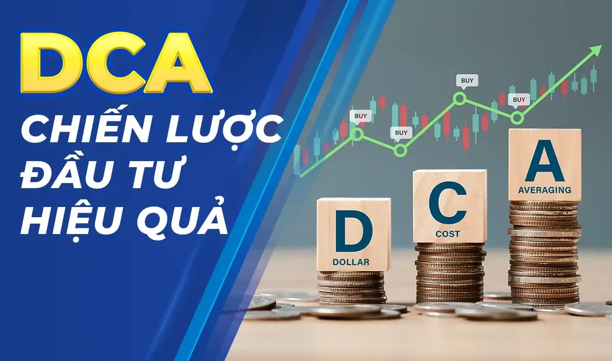 DCA1 e1774931143875