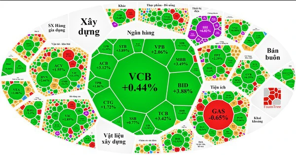 Foam tree chứng khoán