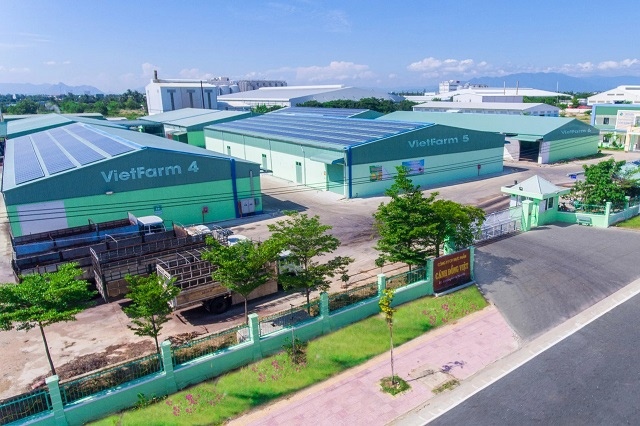 Cổ phiếu GCF: Thông tin, Đặc điểm, Vị thế ngành và Chiến lược đầu tư 10 GCF1