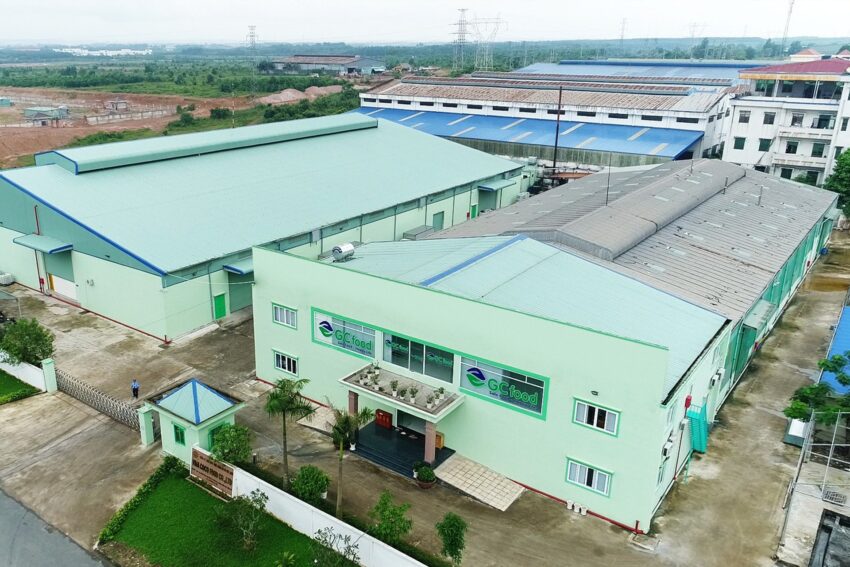 Cổ phiếu GCF: Thông tin, Đặc điểm, Vị thế ngành và Chiến lược đầu tư 11 GCF2 e1774064659468
