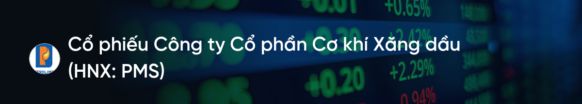 Cổ phiếu PMS: Thông tin, Đặc điểm, Tiềm năng và Chiến lược đầu tư 1 Cổ phiếu PMS