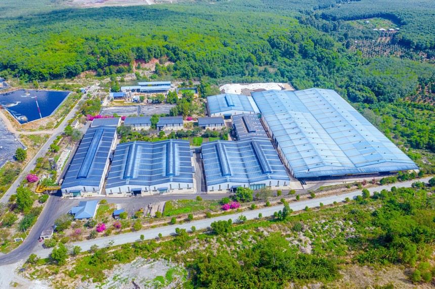 Cổ phiếu SDV: Thông tin doanh nghiệp, Chỉ số tài chính, Tiềm năng tăng trưởng và Phân tích kỹ thuật 4 SDV1