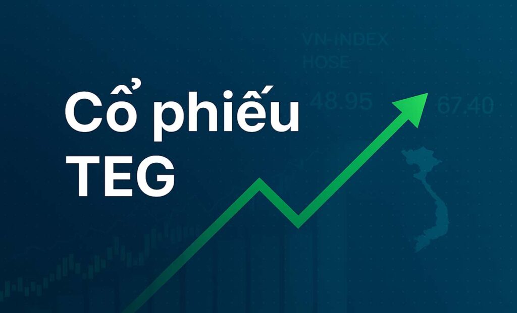Cổ phiếu TEG: Thông tin doanh nghiệp, Chỉ số tài chính, Tiềm năng tăng trưởng và Chiến lược đầu tư 2026 4 TEG1