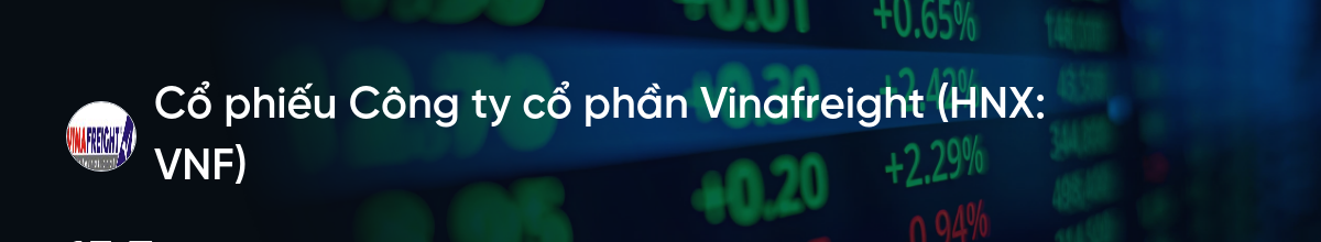 Cổ phiếu VNF: Thông tin doanh nghiệp, Phân tích tài chính, Biểu đồ kỹ thuật và Chiến lược đầu tư 102 VNF e1774929330362