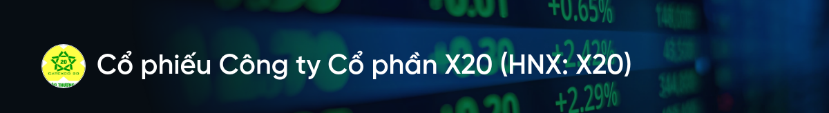 Cổ phiếu X20: Thông tin, Chỉ số tài chính, Tiềm năng đầu tư và Chiến lược giao dịch 1 Cổ phiếu X20