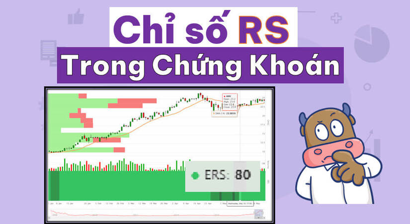 Cổ phiếu IBD: Thông tin, Tiêu chí lựa chọn, Phân tích kỹ thuật và Chiến lược đầu tư 2026 5 Chỉ số RS