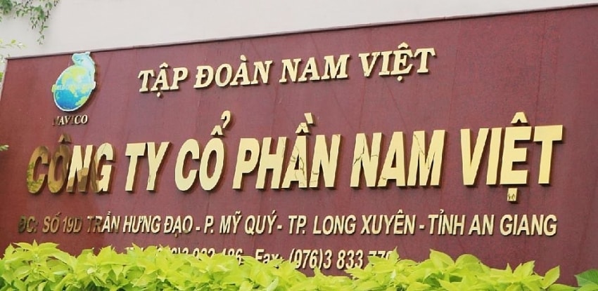 Cổ phiếu NAV: Thông tin, Chỉ số tài chính, Phân tích kỹ thuật và Chiến lược đầu tư 2026 1 Công ty Cổ phần Nam Việt