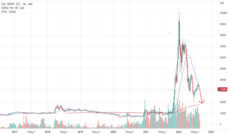 Nhận định cổ phiếu CEO 2026