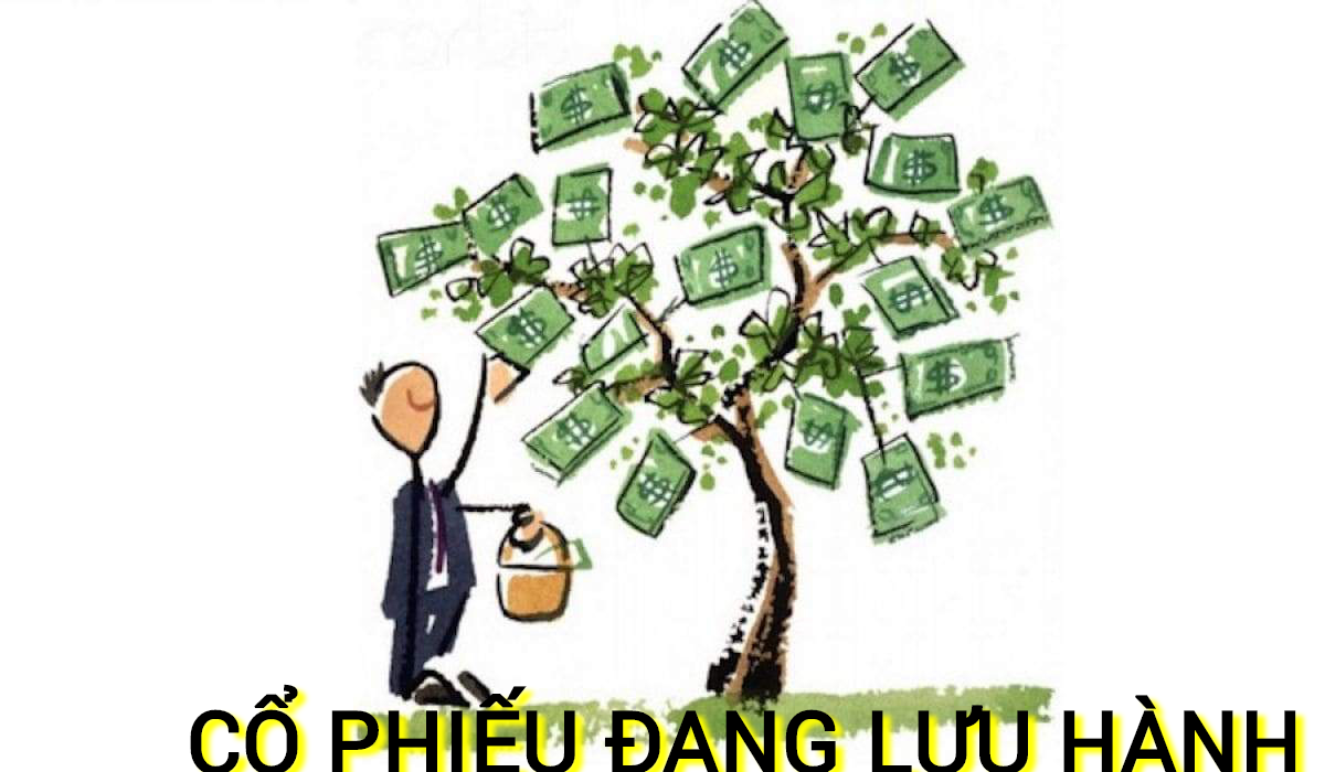 Xem số lượng cổ phiếu đang lưu hành ở đâu