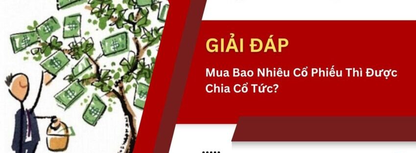 Nắm giữ bao nhiêu cổ phiếu thì được chia cổ tức: Quy định, Điều kiện và Cách thức nhận 1 Nắm giữ bao nhiêu cổ phiếu thì được chia cổ tức