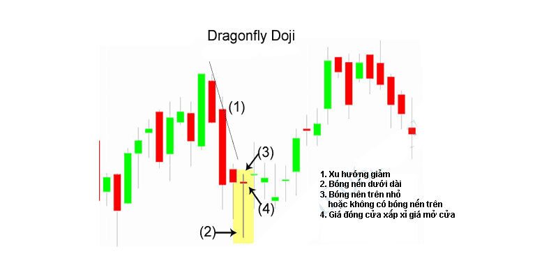 Nến Dragonfly Doji: Thông tin, Đặc điểm, Ý nghĩa và Chiến lược giao dịch 2 Nến Dragonfly Doji