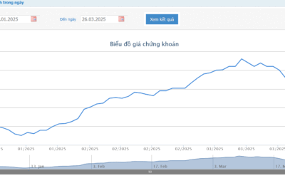 Cổ phiếu C47: Thông tin doanh nghiệp, Đặc điểm tài chính, Tiềm năng đầu tư và Chiến lược giao dịch