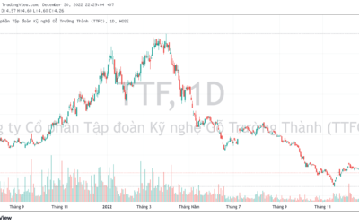 Cổ phiếu TTF: Thông tin doanh nghiệp, Chỉ số tài chính, Tiềm năng và Chiến lược đầu tư