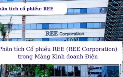 Cổ phiếu REE: Thông tin, Đặc điểm, Vị thế thị trường và Chiến lược đầu tư