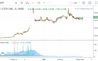 Cổ phiếu CVT: Thông tin doanh nghiệp, Chỉ số tài chính, Tiềm năng tăng trưởng và Chiến lược đầu tư