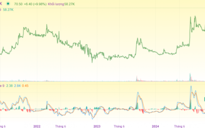 Cổ phiếu KSV: Thông tin, Đặc điểm tài chính, Tiềm năng đầu tư và Cách giao dịch